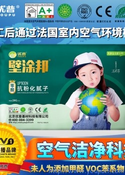 壁涂邦UP900N抗粉化膩子