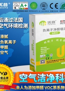 優(yōu)普金典X6型負離子凈醛墻泥