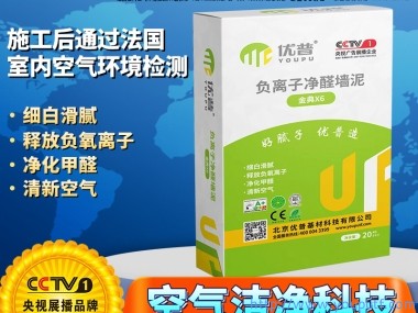 優普金典X6型負離子凈醛墻泥